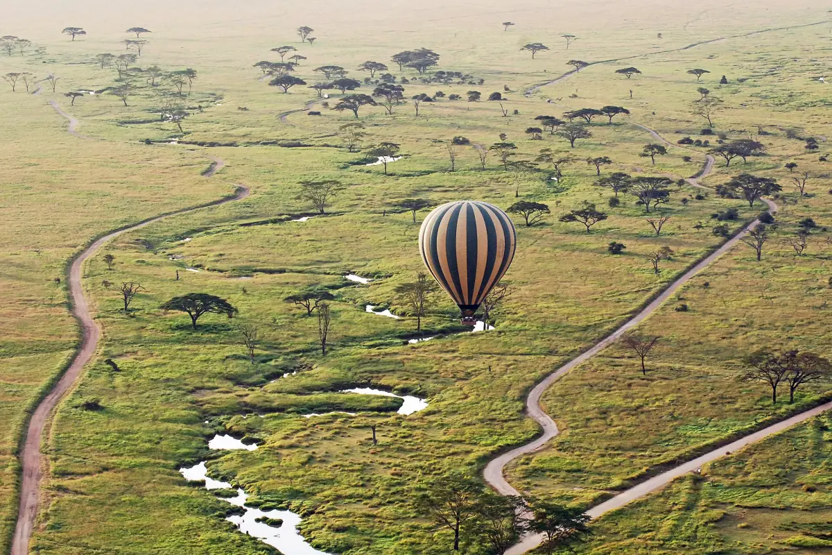 Ein Ballon über dem Flusswald