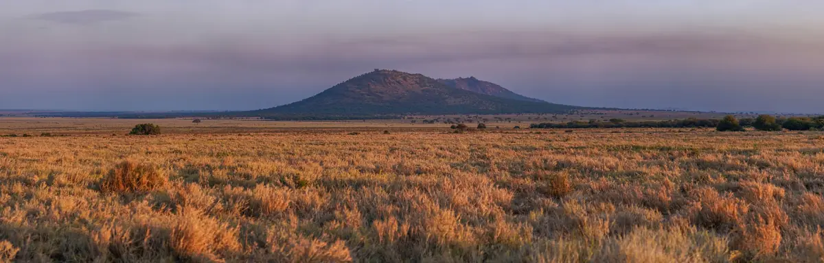 Die Ebenen der Serengeti im Morgengrauen